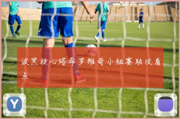波黑核心塔希罗维奇小组赛助攻看点
