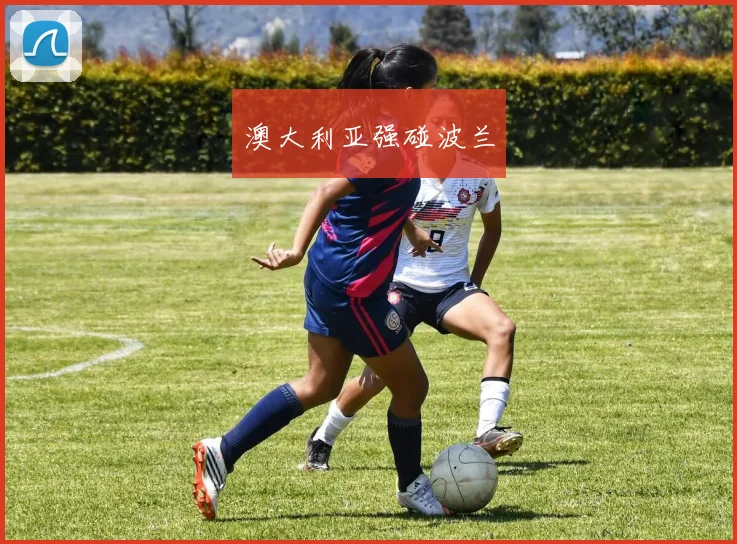 澳大利亚强碰波兰