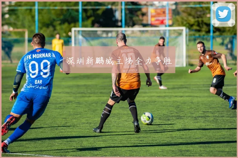 深圳新鹏城主场全力争胜