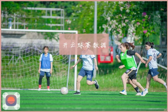 开云球赛数据