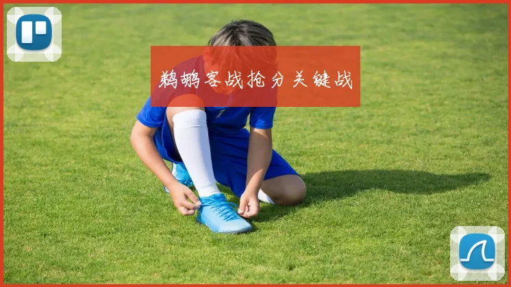 鹈鹕客战抢分关键战