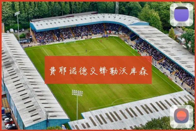 费耶诺德交锋勒沃库森