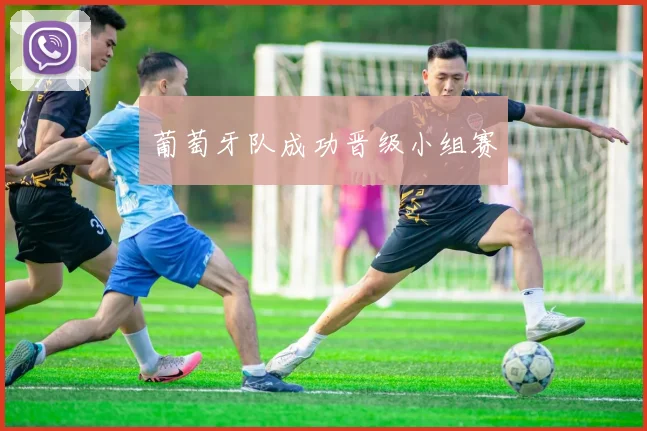 葡萄牙队成功晋级小组赛
