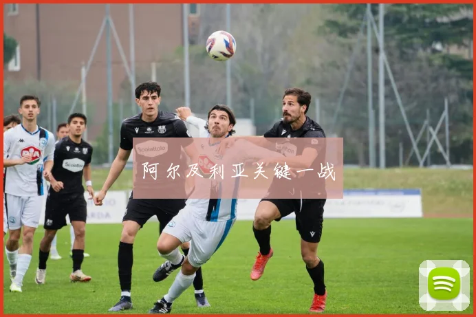 阿尔及利亚关键一战