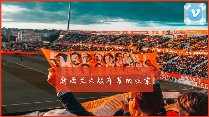 新西兰大战布基纳法索