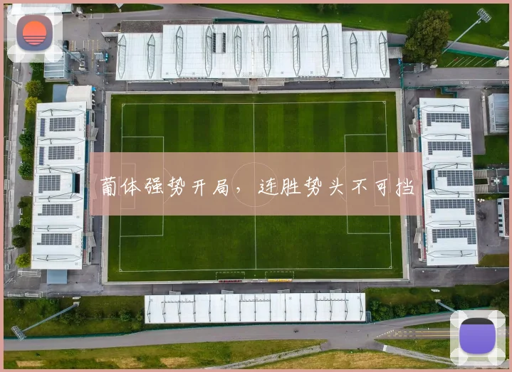 葡体强势开局，连胜势头不可挡