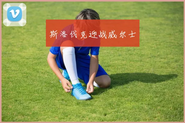 斯洛伐克迎战威尔士