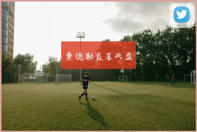 费德勒直落两盘