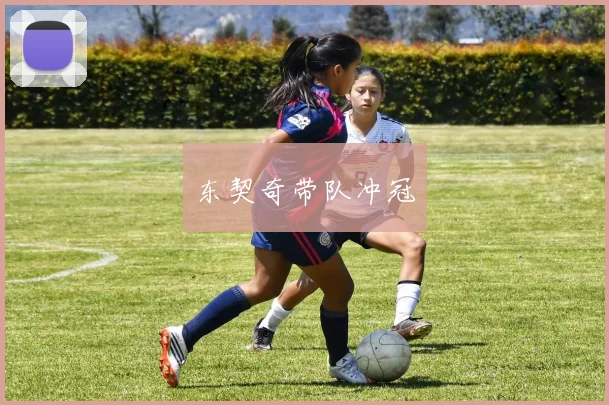 东契奇带队冲冠