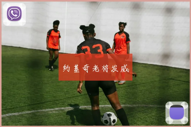 约基奇老将发威