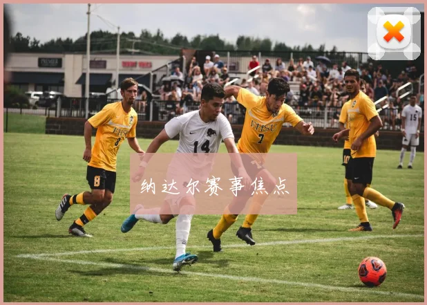 纳达尔赛事焦点