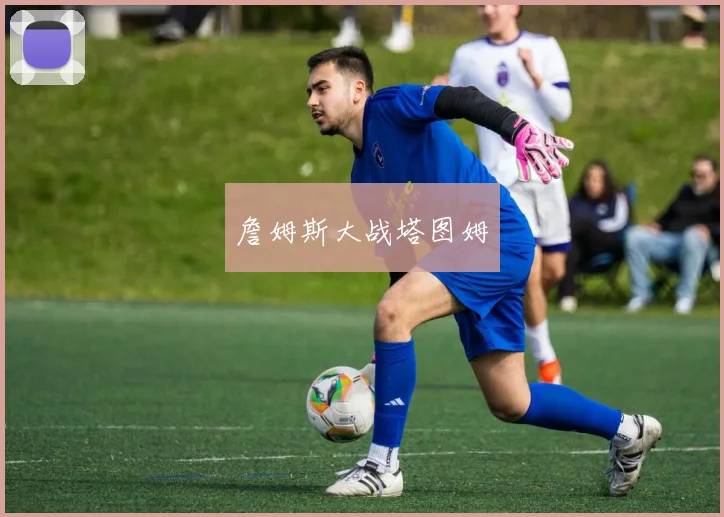 詹姆斯大战塔图姆