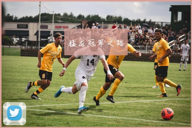 猛龙冠军之路