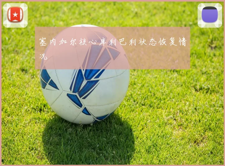 塞内加尔核心库利巴利状态恢复情况
