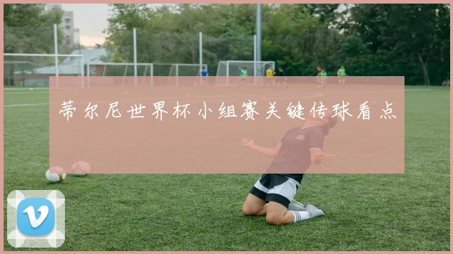 蒂尔尼世界杯小组赛关键传球看点