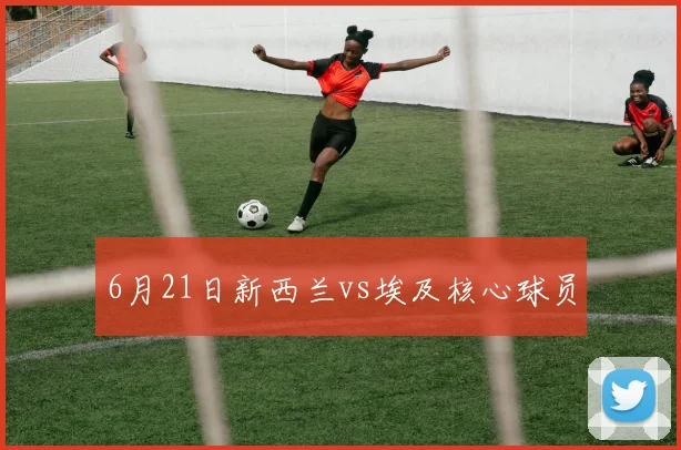 6月21日新西兰vs埃及核心球员