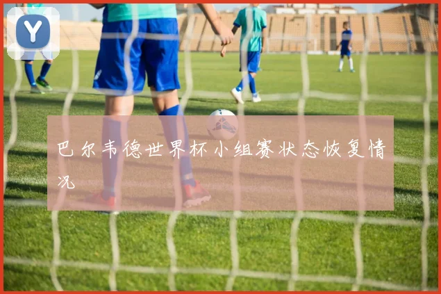 巴尔韦德世界杯小组赛状态恢复情况