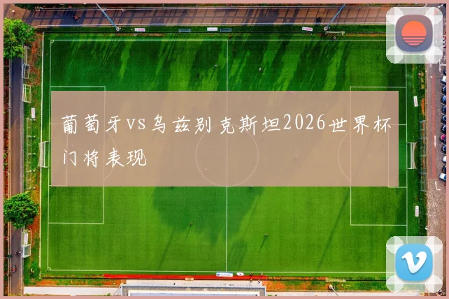 葡萄牙vs乌兹别克斯坦2026世界杯门将表现
