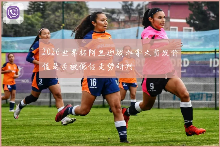 2026世界杯阿里迎战加拿大首发价值是否被低估走势研判
